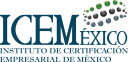 ICEMéxico Online