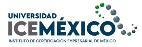 ICEMéxico Online
